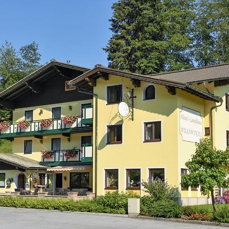 Hotel Landhaus Ausswinkl Russbach am Pass Gschütt Eksteriør billede